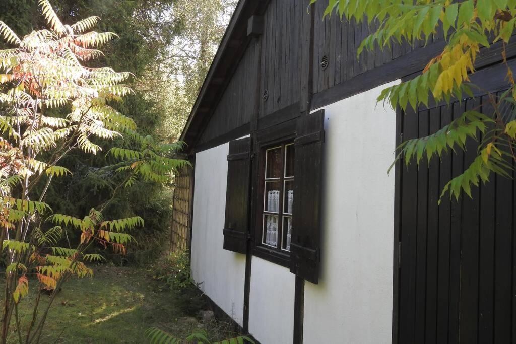 Modrzewiowy Domek Letniskowy - Stare Czaple Brodnica  外观 照片