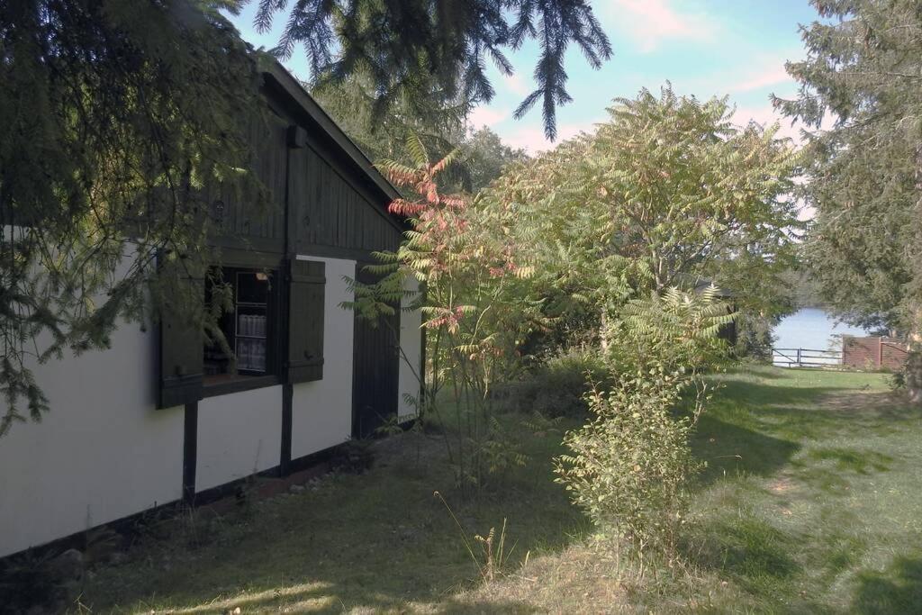 Modrzewiowy Domek Letniskowy - Stare Czaple Brodnica  外观 照片