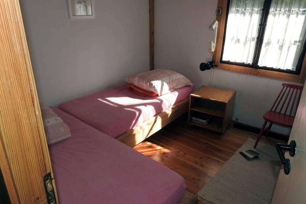 Modrzewiowy Domek Letniskowy - Stare Czaple Brodnica  外观 照片