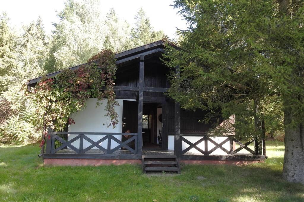 Modrzewiowy Domek Letniskowy - Stare Czaple Brodnica  外观 照片